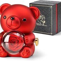 Cute Teddy Bear with Preserved Rose